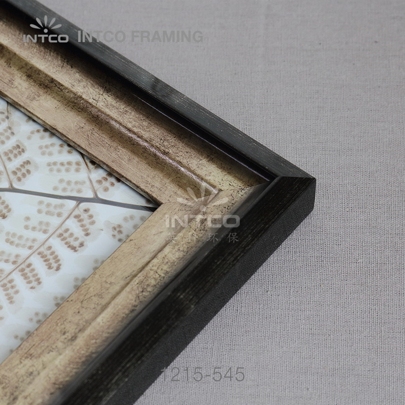 INTCO 1215-545 PS mouldings for framed art