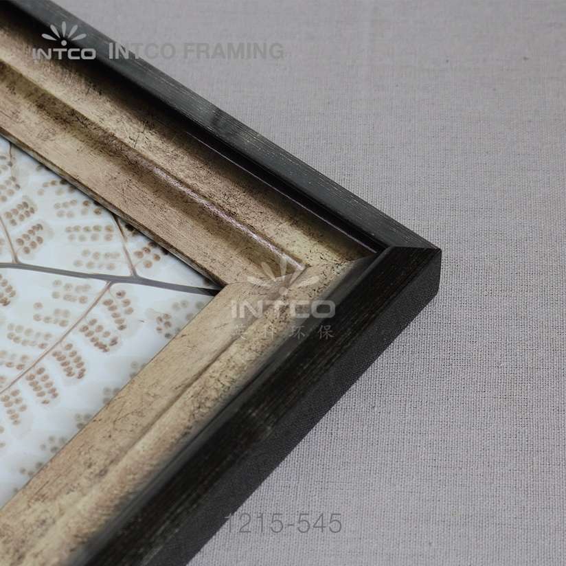 INTCO 1215-545 PS mouldings for framed art