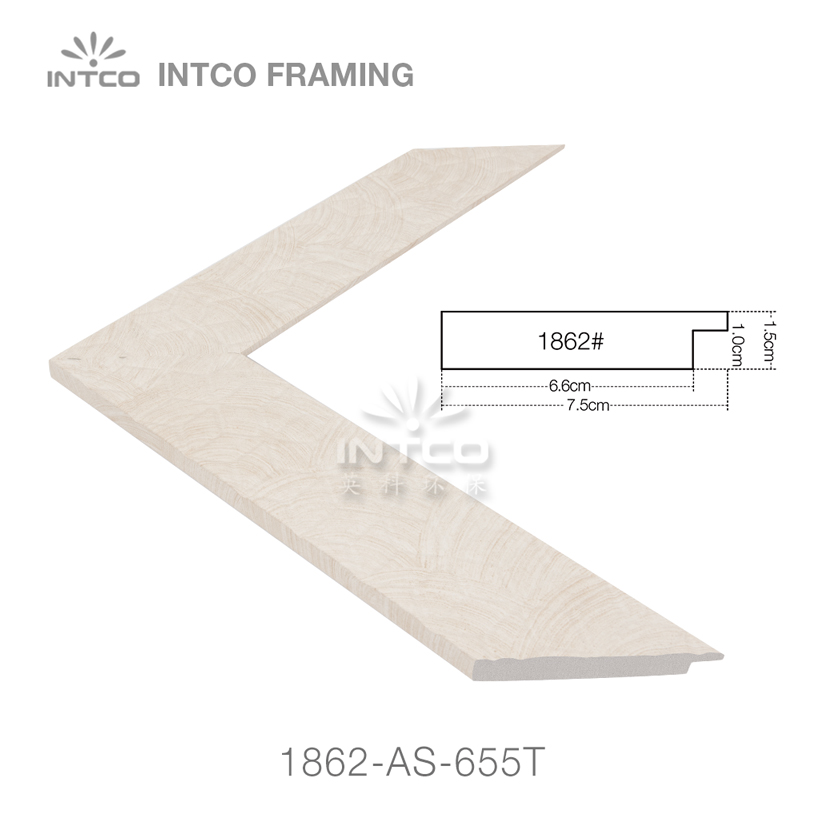 plastic mirror molding