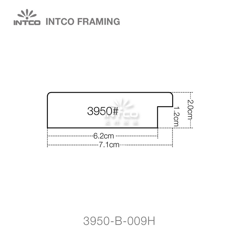 INTCO 3950 series PS mirror frame moulding profile
