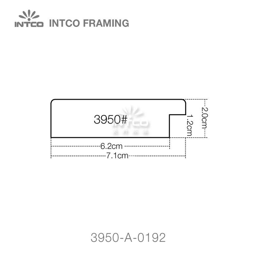INTCO 3950 series PS mirror frame moulding profile