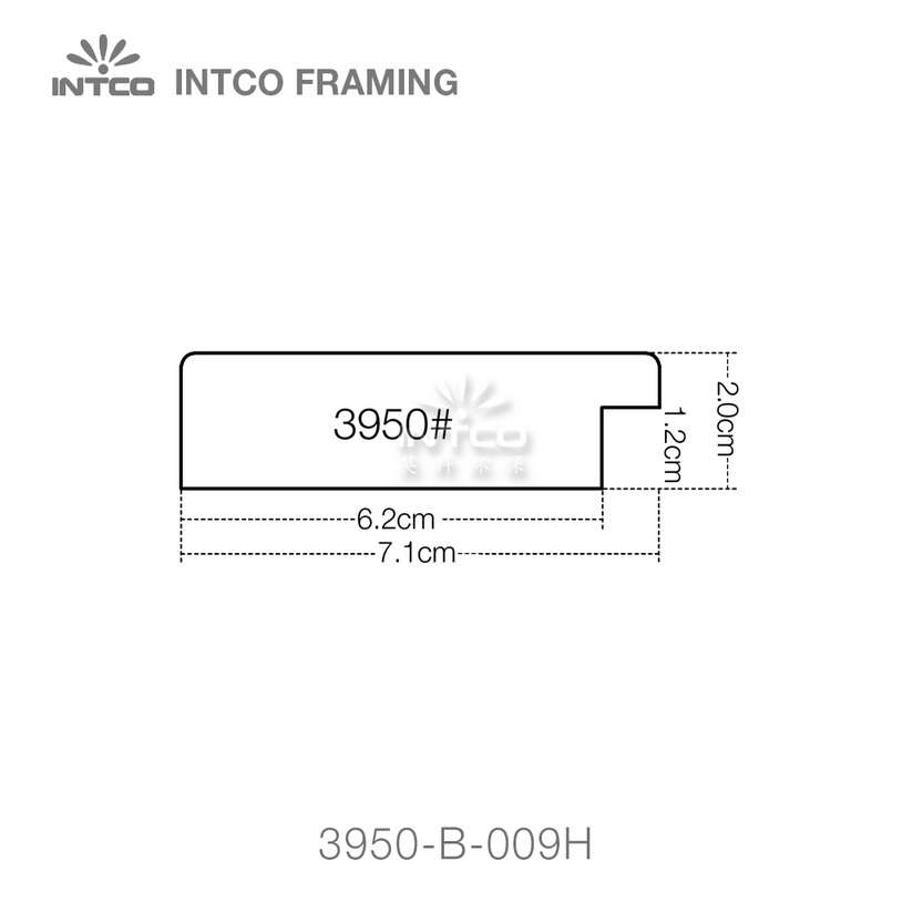 INTCO 3950 series PS mirror frame moulding profile