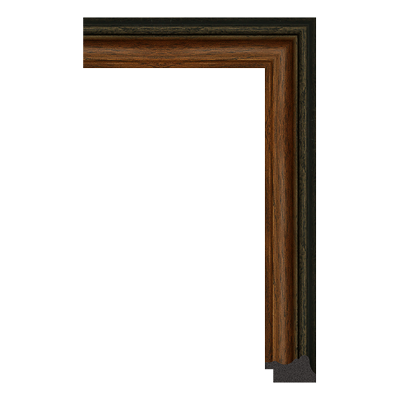 3069-716T — 4.04cm Natur PS Bilderrahmenleiste
