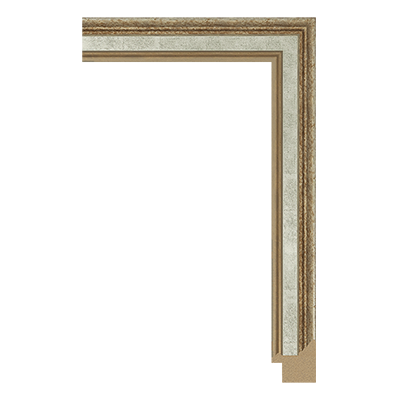 6769-A-81G — 3cm PS Bilderrahmenleiste